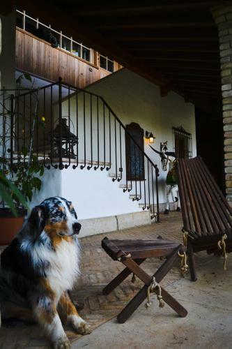 Agroturismo Pietra Cavalla - Ranch & Resort