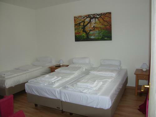 Hostal Malom Udvar