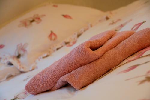 B&B De Strandhoeve