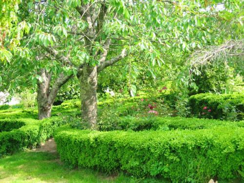 Apartment With One Bedroom In Valpedre With Shared Pool And Balcony