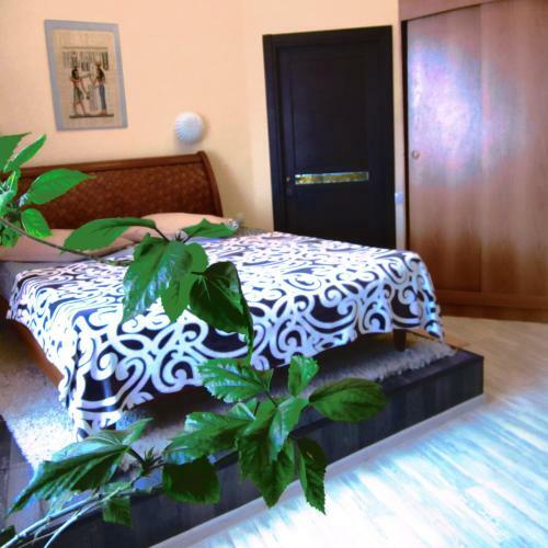 Hostel Victoria