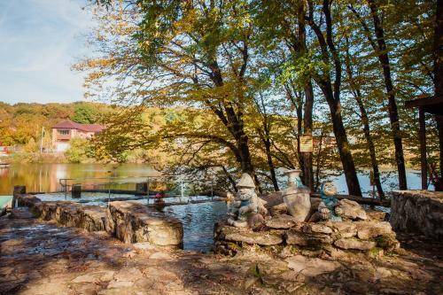 ???? ?????? ?????? ?????