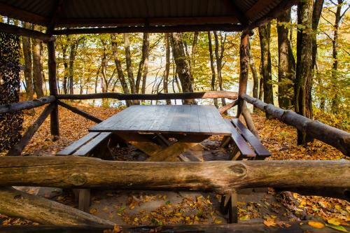 ???? ?????? ?????? ?????