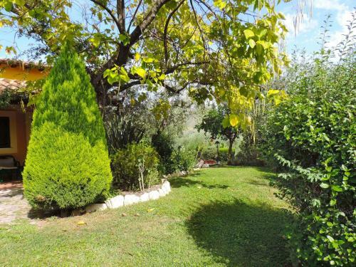 Locazione Turistica Olive Grove Sabina
