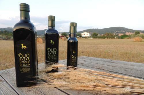 Agroturismo Agriturismo Il Cavallino