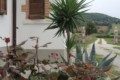 Agroturismo Agriturismo Il Cavallino