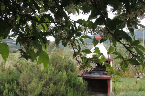 Agroturismo Agriturismo Il Cavallino