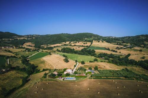 Agroturismo Agriturismo Il Cavallino
