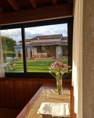 Agroturismo Agriturismo Il Cavallino