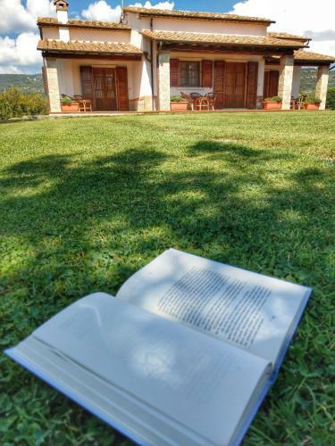 Agroturismo Agriturismo Il Cavallino