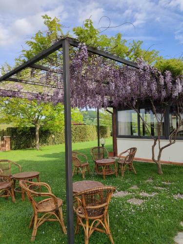Agroturismo Agriturismo Il Cavallino