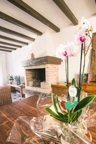 Villa Los Remos