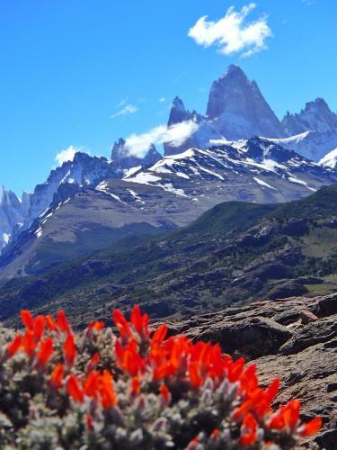 Hostal Confin Patagonico