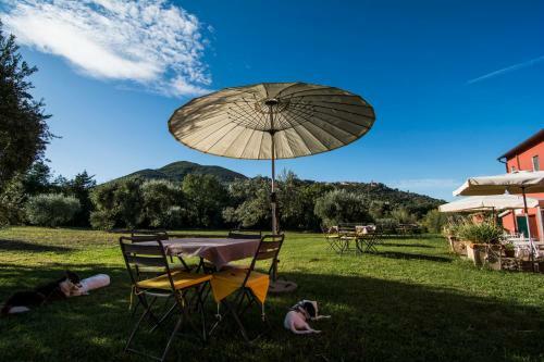 Agroturismo Tenuta Col Di Sasso