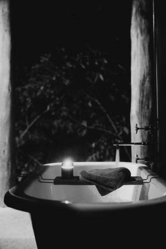 Villa Carawirry Forest Escape