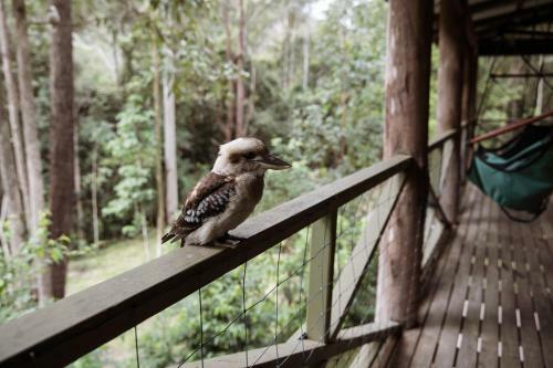 Villa Carawirry Forest Escape