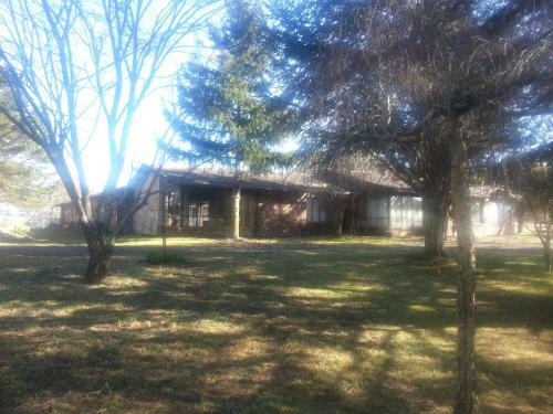 Apartamentos Three Linden