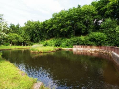 Pleasant Cottage In Heidweiler Germany With Private Garden