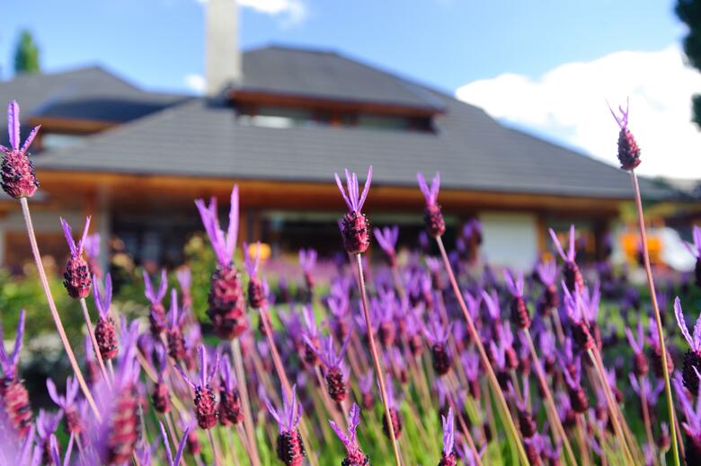 Hotel Antares Patagonia Suites & Eventos