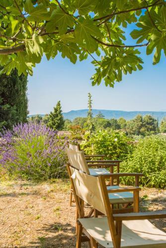 Mazan Chateau Sleeps 8 Pool