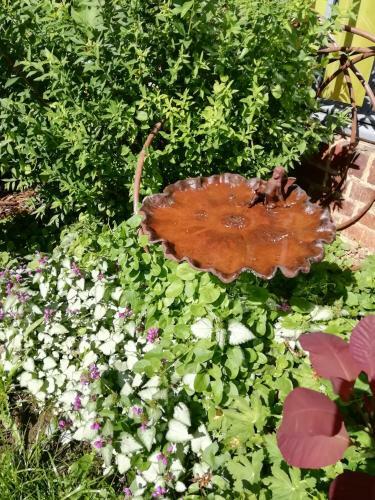 Hostal La Haute Forge Maison D'h�tes