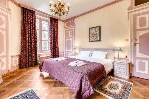 Vescours Chateau Sleeps 20 Pool Wifi
