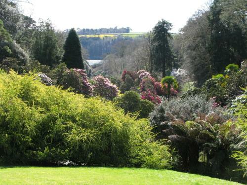 Bed & Breakfast Dolvean House