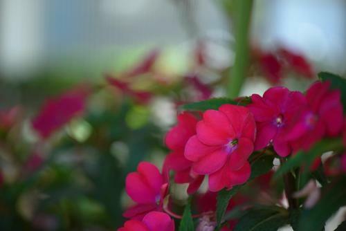 Bed & Breakfast Prytanio