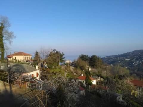 Hotel Erotas