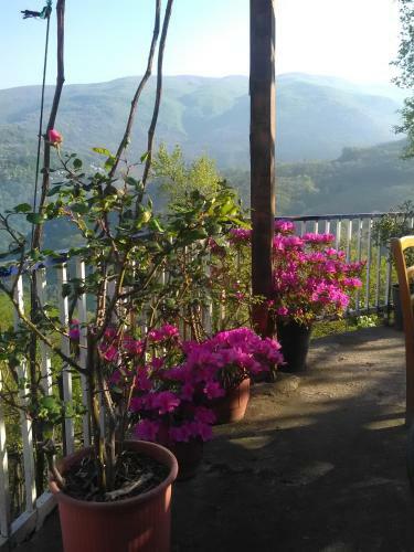 Hotel Erotas