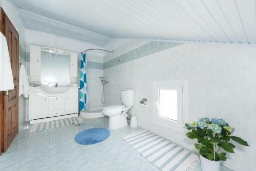 Corfu Villa Kokkini With Swimming Pool