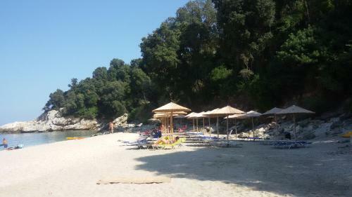 Hostal Vergopoulos Oliveyard