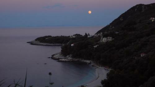 Hostal Vergopoulos Oliveyard