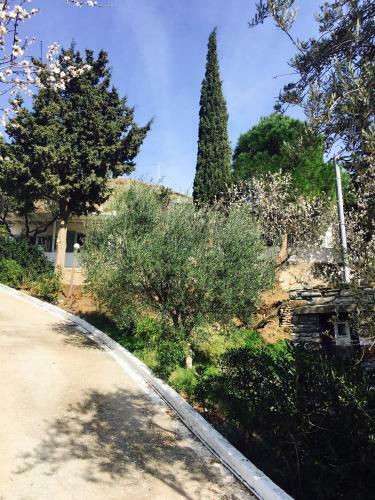 Hostal Onar Studios & Residences