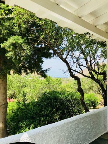 Hostal Onar Studios & Residences