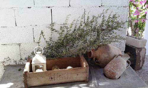 Granny's Olive Mill Villa