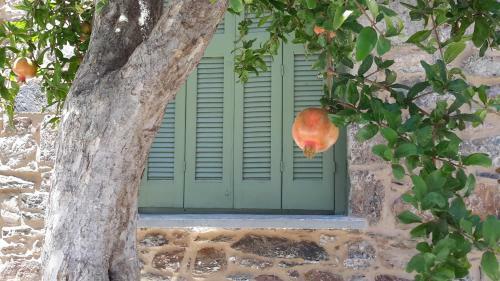 Granny's Olive Mill Villa