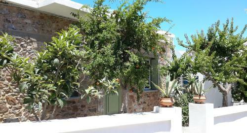 Granny's Olive Mill Villa