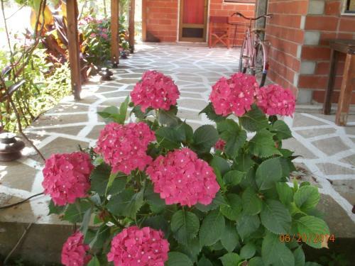 Apartamento Perseus Studios