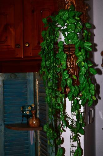 Apartamento Amversa's Rooms