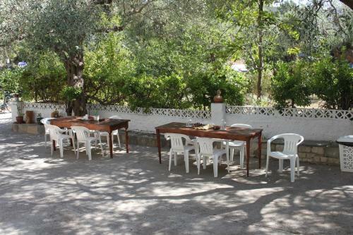 Apartamento House Ekton