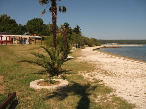 Apartment Dusko - Free Parking