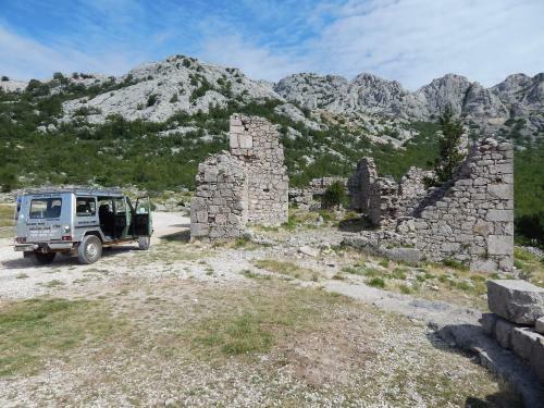 Apartmani Orhideja