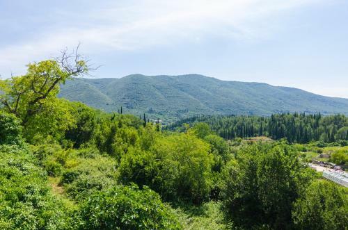 Villa Dalmatian Gem