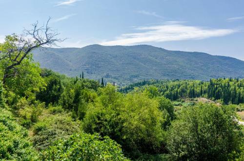 Villa Dalmatian Gem