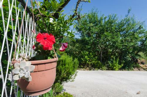 Villa Dalmatian Gem