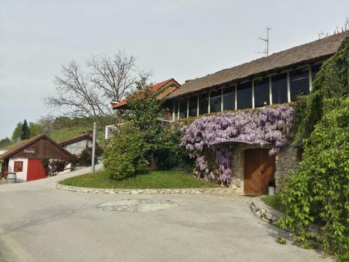 Pension Vuglec Breg