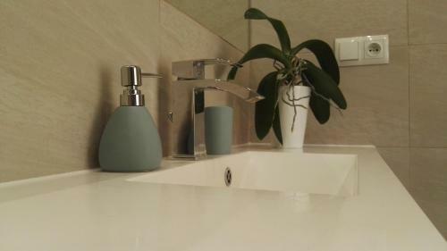 Apartament Papaj