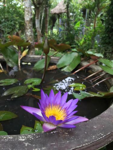 Vu Homestay