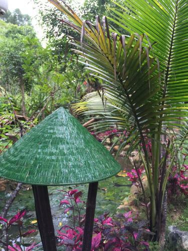 Vu Homestay